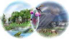 Interactions between the environment and humans may foster the spread of infectious diseases.
Credit: NSF/Nicole Rager-Fuller