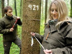 Cynthia Schäfer and Eric Thurm, doctoral candidates at the Chair for Forest Growth and Yield, take a growth ring sample from an experimental plot tree. (Photo: L. Steinacker / TUM)