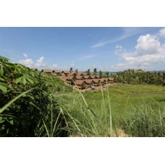 On Leyte Island in the Philippines, wooden transitional shelters are under construction to house the displaced caused by Super Typhoon Haiyan whick struck on 8 November 2013. Photo: UNHCR/P. Behan