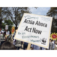Negotiators should look at this and understand that people want much faster action on climate change.
© Mandy Woods