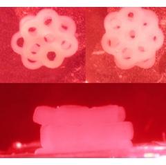 Bio building blocks
Honeycombs of bioengineered tissue, top, can be stacked and arranged to build larger living structures.
