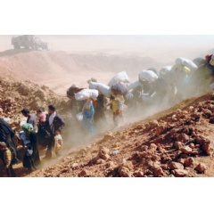 Syrian refugees arrive across the border into Jordan. Photo: UNHCR/A. Harper