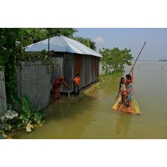 Children using a boat made out of a banana tree makes their way to a flood shelter in Kurigram District is located in the Rangpur Division, in Northern Bangladesh.