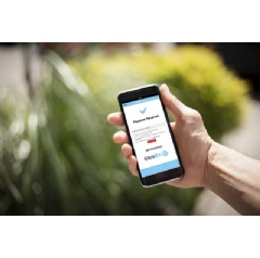 IBM Announces Universal Blockchain Payments Solution to Speed Global Transactions