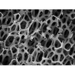 This highly topographic foam is characterized with large depth of focus (DOF) using the Inlens SE detector of ZEISS GeminiSEM 450 at 8 kV.