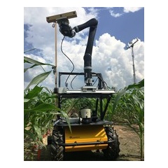 A mobile sensor tower and robot vehicle take 3-D images of corn plants.

Credit: Ali Shafiekhani, University of Missouri
