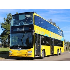In Sydney, 38 new double-decker buses have recently started operating on the MAN A95 low-floor chassis.