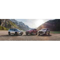 2019 Toyota RAV4 19