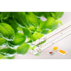 Samsung Horticulture LEDs