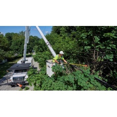 Maintaining vegetation under power lines is one of the most important steps taken by FirstEnergy utilities each year to enhance service reliability for customers.