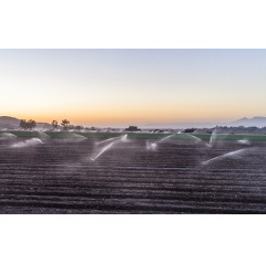 Many California farms need intensive irrigation to maintain their crops.

Credit: Amir AghaKouchak
