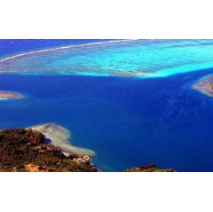 NSF LTER scientists have discovered coral reef oases.

Credit: NSF Moorea Coral Reef LTER Site