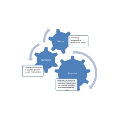 The NEW approach  components of NEW prehabilitation in cardiac surgery patients.