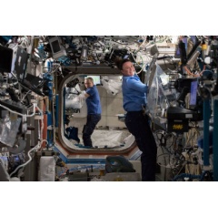 NASA astronaut Serena Auñón-Chancellor conducts research operations for the AngieX Cancer Therapy study inside the Microgravity Science Glovebox. Credits: NAS