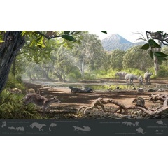 Reconstruction of the Eocene paleoenvironment of the Pontide terrane in Turkey, where the new marsupial fossils were found.

Credit: Oscar Sanisidro, University of Kansas