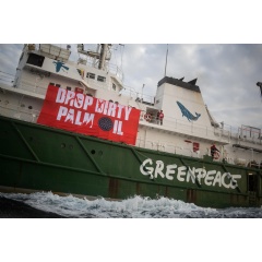 Action Against The Stolt Tenacity
Banner on the side of the Greenpeace ship Esperanza reads: Drop Dirty Palm Oil
Credit:
 Jeremy Sutton-Hibbert / Greenpeace