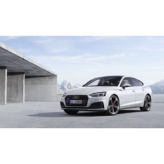 Audi S5 Sportback TDI

Static photo
Colour: glacier white