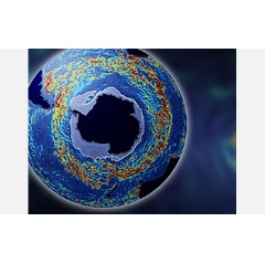 The Antarctic Circumpolar Current moves clockwise.
Credit: Image courtesy M. Mazloff, MIT; Source: San Diego Supercomputer Center, UC San Diego