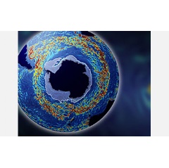 The Antarctic Circumpolar Current moves clockwise.

Credit: Image courtesy M. Mazloff, MIT; Source: San Diego Supercomputer Center, UC San Diego