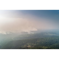 Siberian Forest Fires in Russia
Credit:
 Anton Voronkov / Greenpeace
