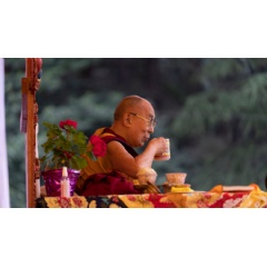 His Holiness the Dalai Lama enjoying a cup of tea during a break on the first day of his teachings in Manali, HP, India. Photo by Tenzin Choejor