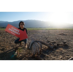Climate Emergency Action at Laguna de Aculeo in Chile
Credit:
 Martin Katz / Greenpeace