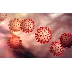 NSF-funded scientists are testing coronavirus particles against temperature, humidity.

Credit: CDC
