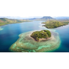 Accenture, Intel and Sulubaaï Environmental Foundation use artificial intelligence to rebuild the coral reef surrounding the Pangatalan Island in the Philippines.