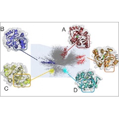 AI-driven molecular dynamics simulations may lead to new drugs to treat coronavirus.

Credit: Argonne National Laboratory