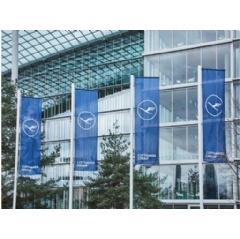 LAC flags