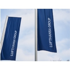 Lufthansa Group flags