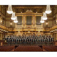 The Vienna Philharmonic, in the midst of a world-wide pandemic, will perform their famous New Year’s Day concert from the renowned Musikverein in Vienna on January 1, 2021.
NPR