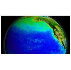 Warmer Pacific Ocean currents during the ice age may also have supported early human settlements.
Credit: NASA/Goddard Space Flight Center, the SeaWiFS Project and GeoEye, Scientific Visualization Studio