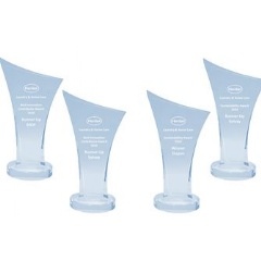 The ACI Supplier Awards took place fully virtually
