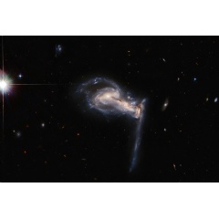 Squabbling galactic siblings
ESA/Hubble & NASA, J. Dalcanton; CC BY 4.0