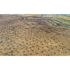 Thousands of peat bunds have been constructed on Holcombe Moor, near Manchester NW Groundworks