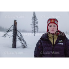 Forest and Reindeer Documentation in Muonio
Credit:
 Rasmus Trnqvist / Greenpeace