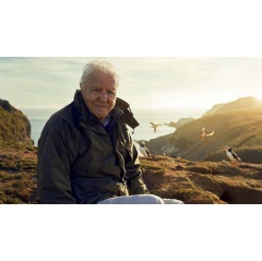 Sir David Attenborough on Skomer Island (Image: Alex Board / SIlverback Films)