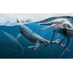 Artist’s life reconstruction of adult and newly born Triassic ichthyosaurs Shonisaurus, 2022. Credit: Gabriel Ugueto.