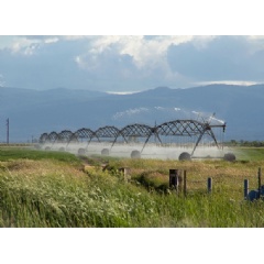 Water flowing deep underground from the Sierra Nevada into Californias Central Valley provides 10% of all water entering the valley, an amount measured for the first time in a new NASA study. The region relies heavily on underground water for crop