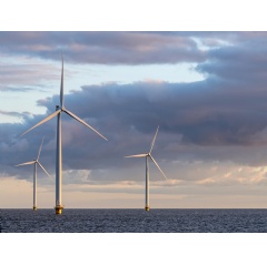 An offshore wind farm. Image credit: iStock.com / Bjoern Wylezich