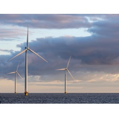 An offshore wind farm. Image credit: iStock.com / Bjoern Wylezich