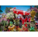 AirAsia Philippines supports the strong return of Vis-Min cultural festivities