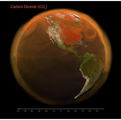 Visualization of total carbon dioxide in the Earths atmosphere in 2021
NASA