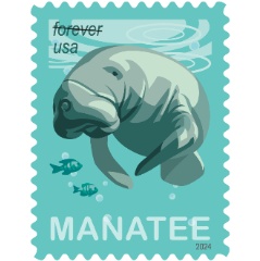 New Save Manatees Postage Stamp to be Issued on Manatee Appreciation