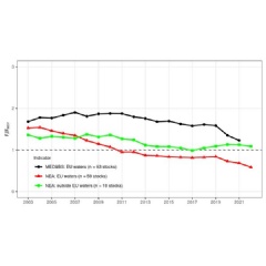 Progress towards sustainability in EU fisheries, 2003-2022