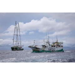 Chyuan Shenq No. 226 longliner
North Pacific Ocean
Credit line:  Ulet  Ifansasti / Greenpeace