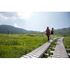 Midagahara Wetlands, Tateyama-Kurobe Alpine Route, Toyama Prefecture  Toyama Tourism Organization