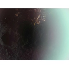 First image captured by Firefly’s Blue Ghost lunar lander, taken shortly after confirmation of a successful landing at Mare Crisium on the Moon’s near side.
Credit: Firefly Aerospace