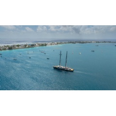 © Bianca Vitale / Greenpeace
Rainbow Warrior ship entering port in Majuro, while being accompanied by three traditional Marshallese canoes